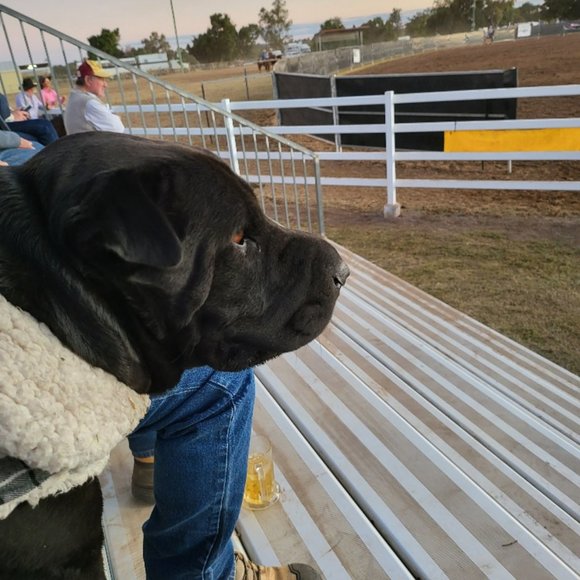 Hey Im Jannadior - Picture 7 of 16